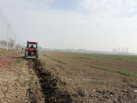 骏华汽车植树造林，美化环境！新乡骏华在行动！