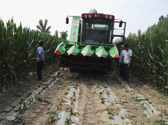 玉米收获机